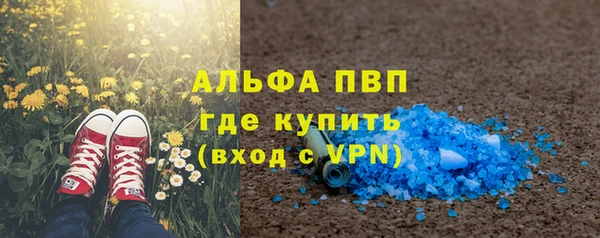 гашик Белокуриха